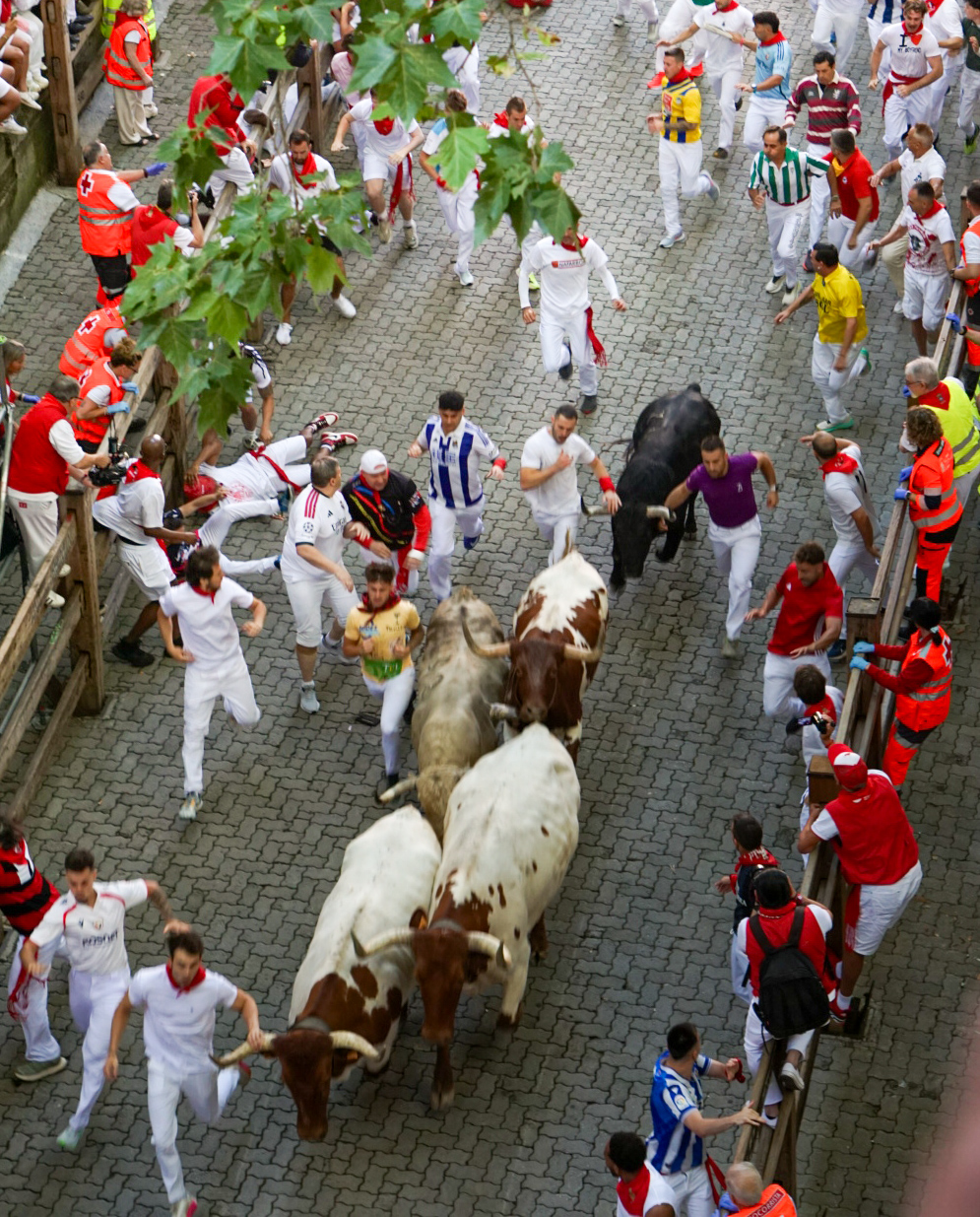 Running of the bulls through the streets of Pamplona