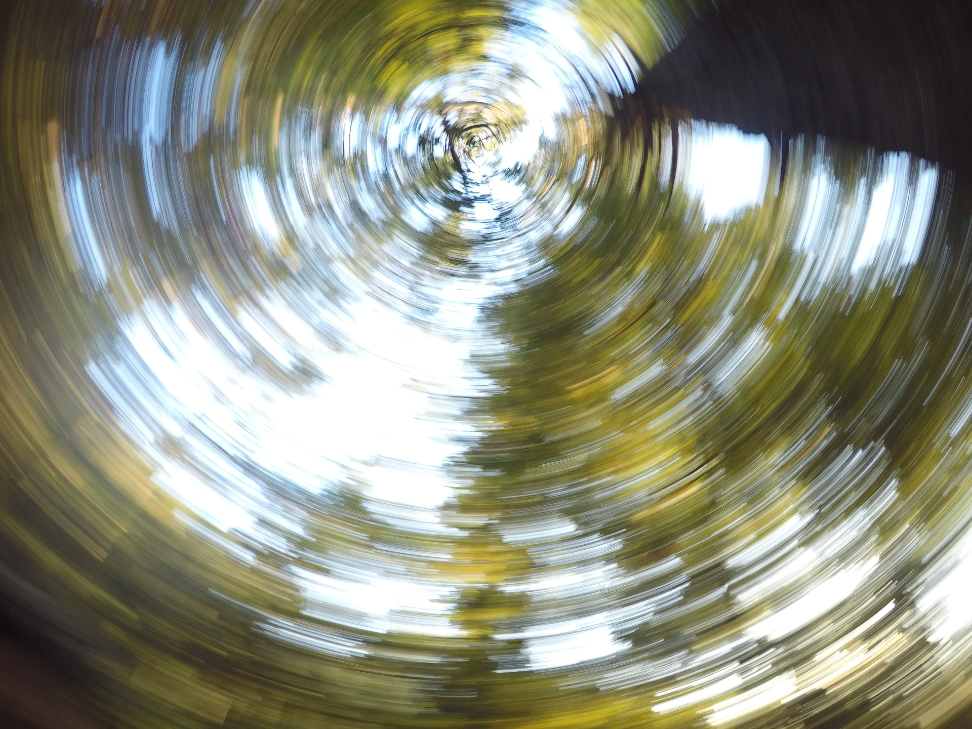 Spinning blur of tree canopy and sky